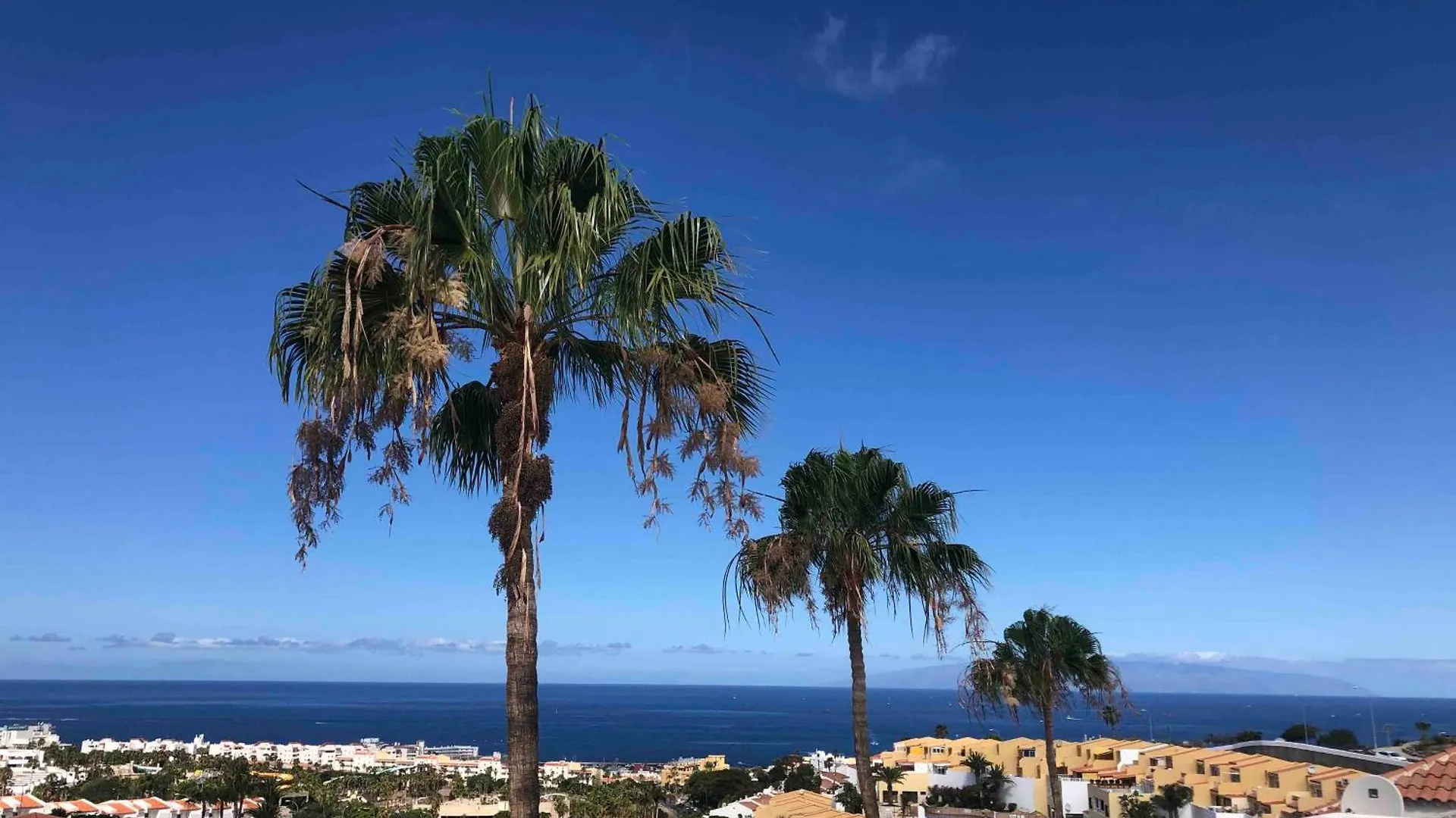 Apartment Paradise Suite - Costa Adeje